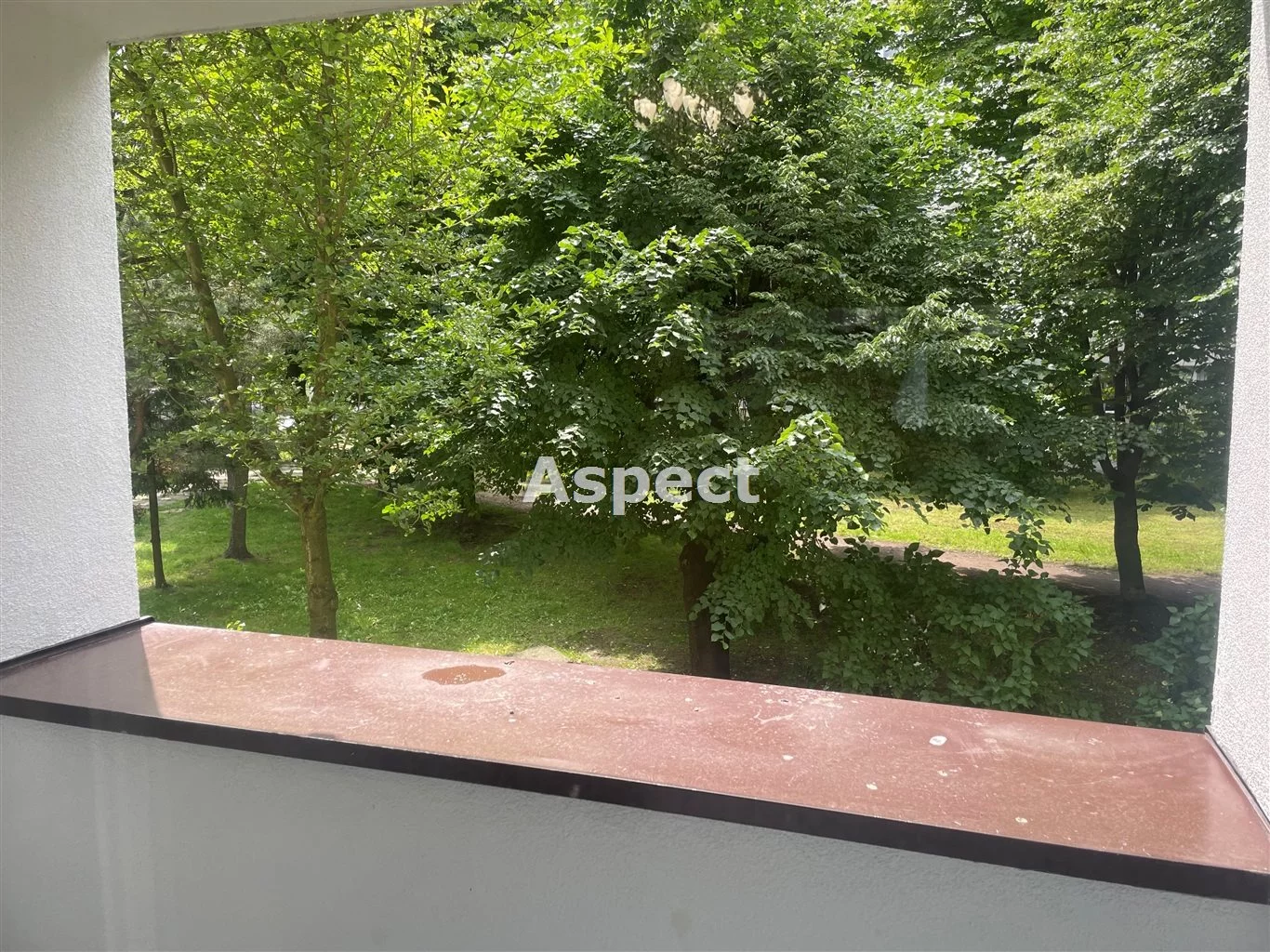 ASJ-MS-50726 - zdjęcie nr 4