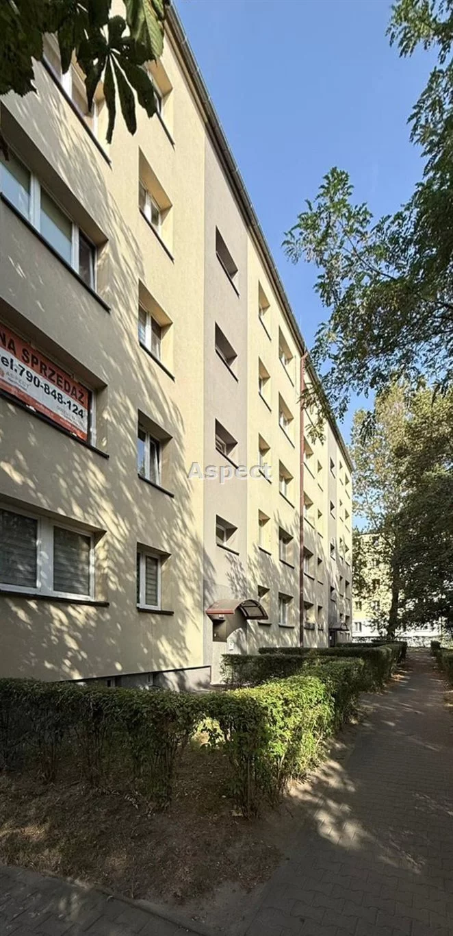 API-MS-51115 - zdjęcie nr 3