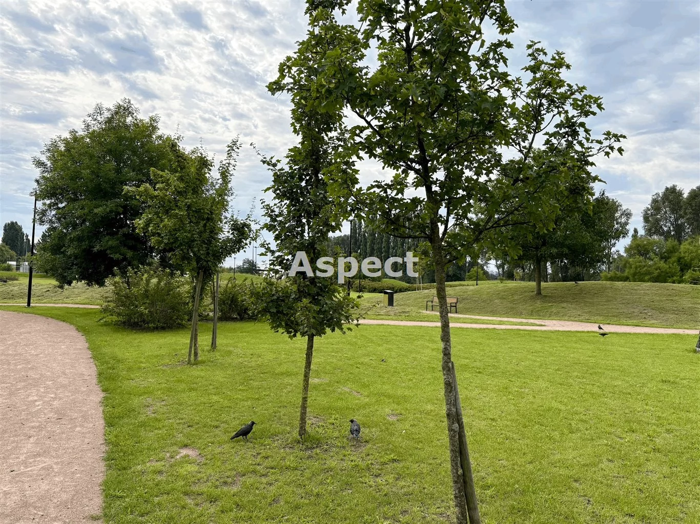 2 pokoje, mieszkanie 47,70 m², piętro 1, oferta nr , ASK-MS-51121, Kutno