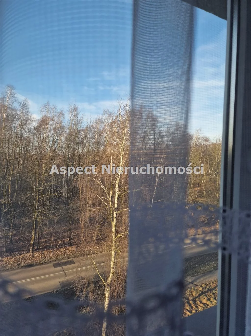 ASJ-MS-50545 - zdjęcie nr 2