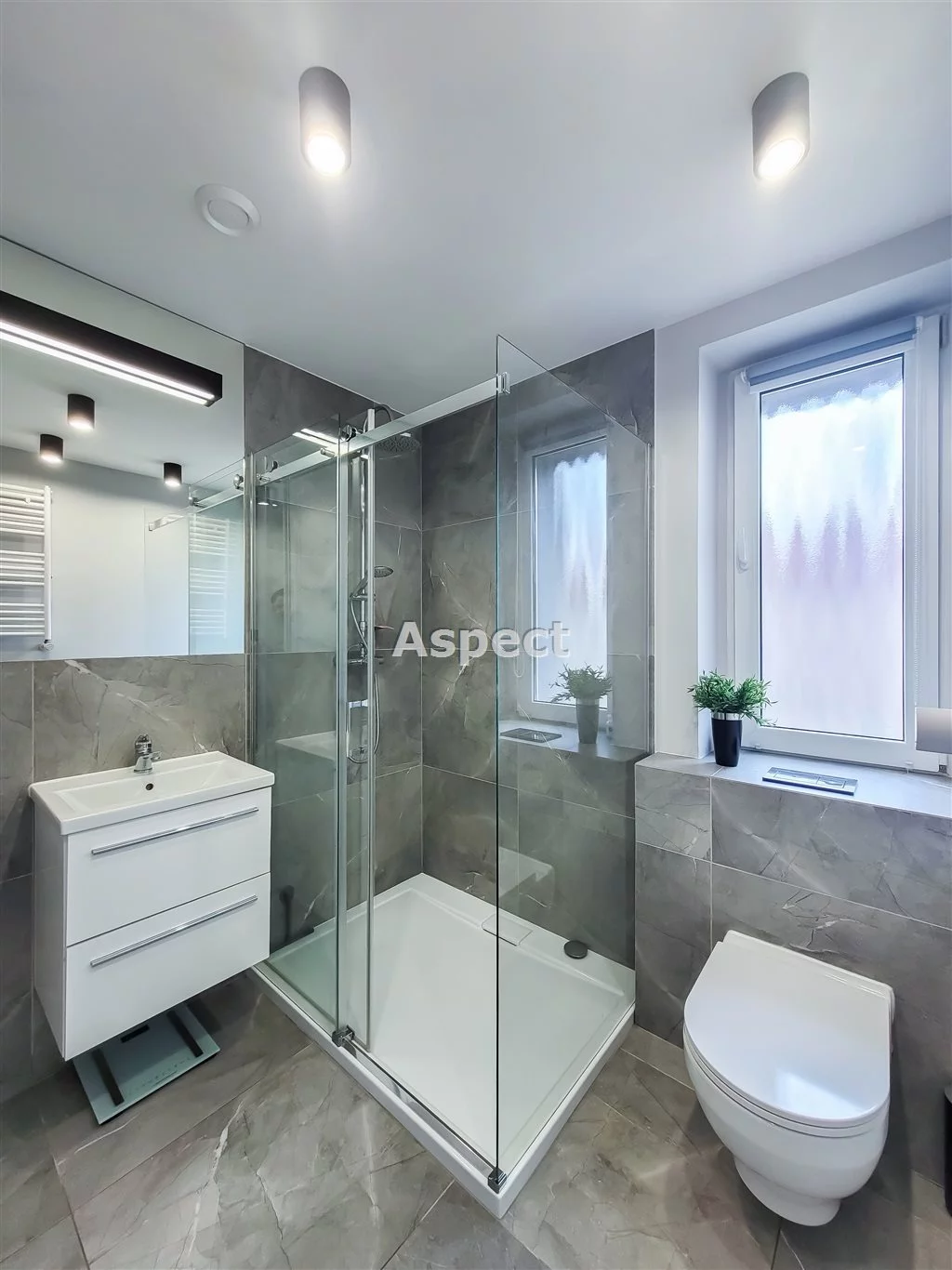 API-MS-50914 - zdjęcie nr 2