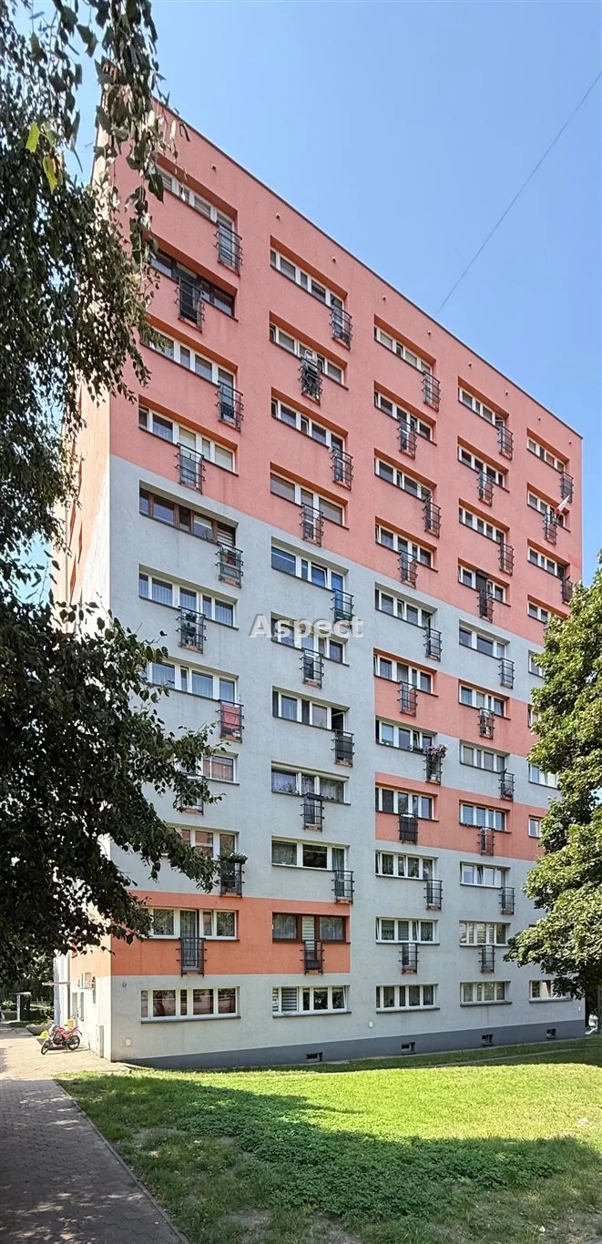 API-MS-51065 - zdjęcie nr 1