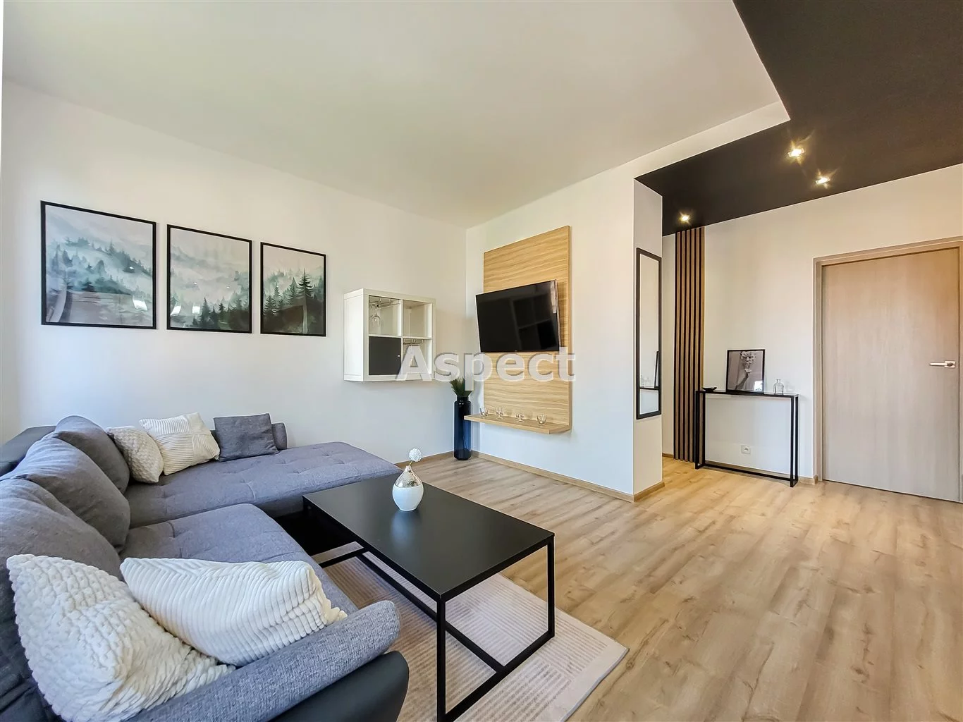 Apartamenty API-MS-51117 Zabrze