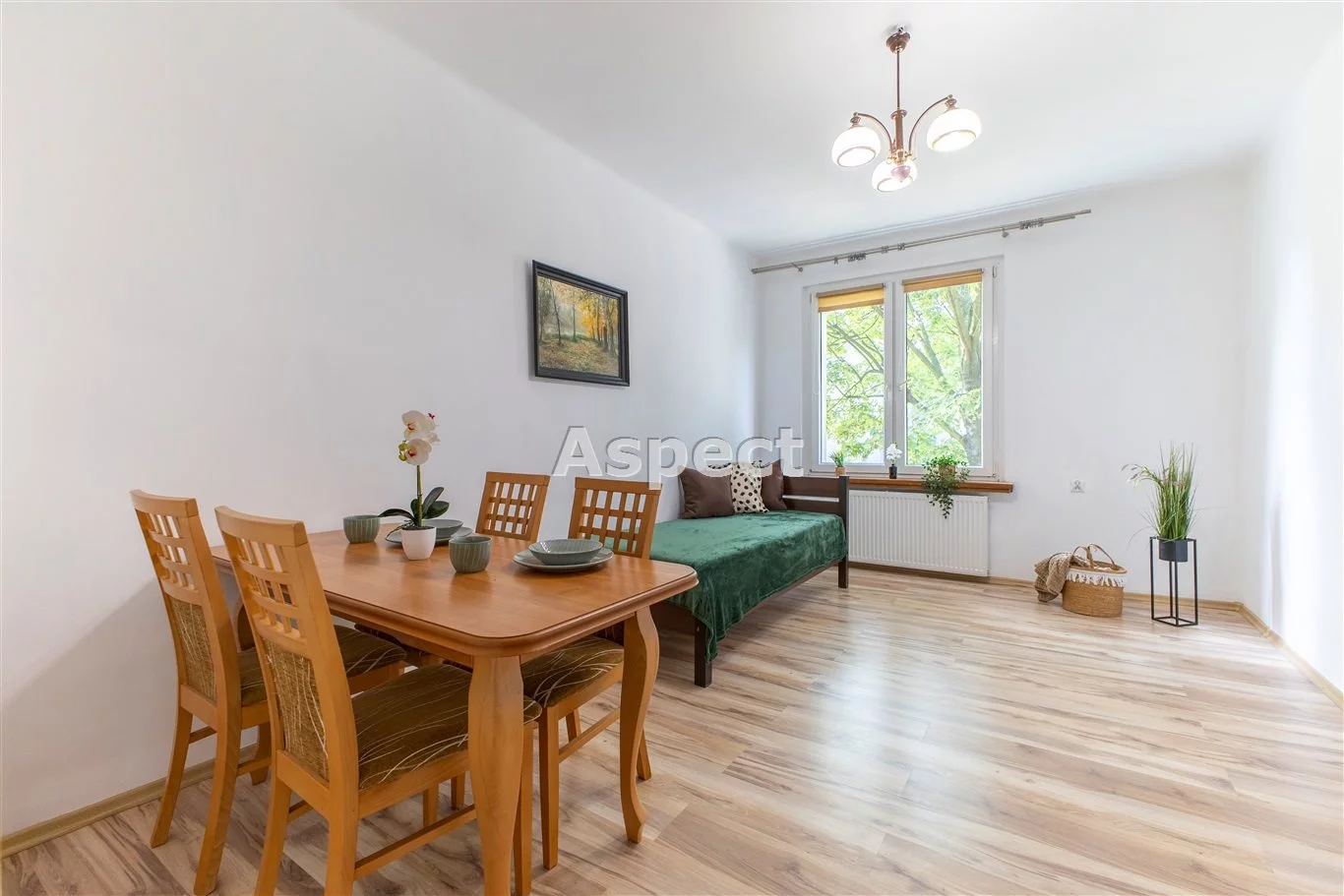 Apartamenty API-MS-50927 Zabrze Helenka