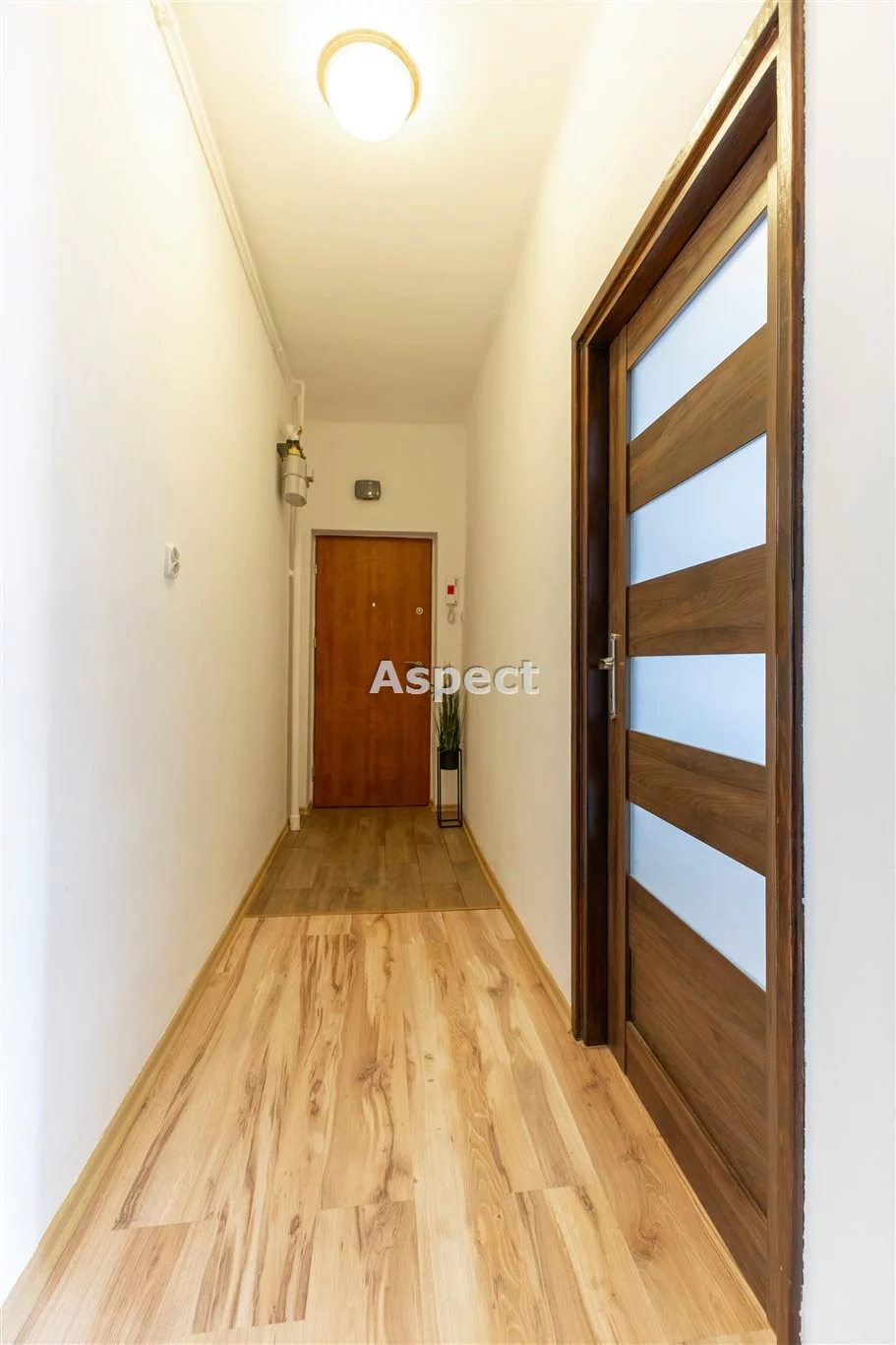 API-MS-50927 - zdjęcie nr 3