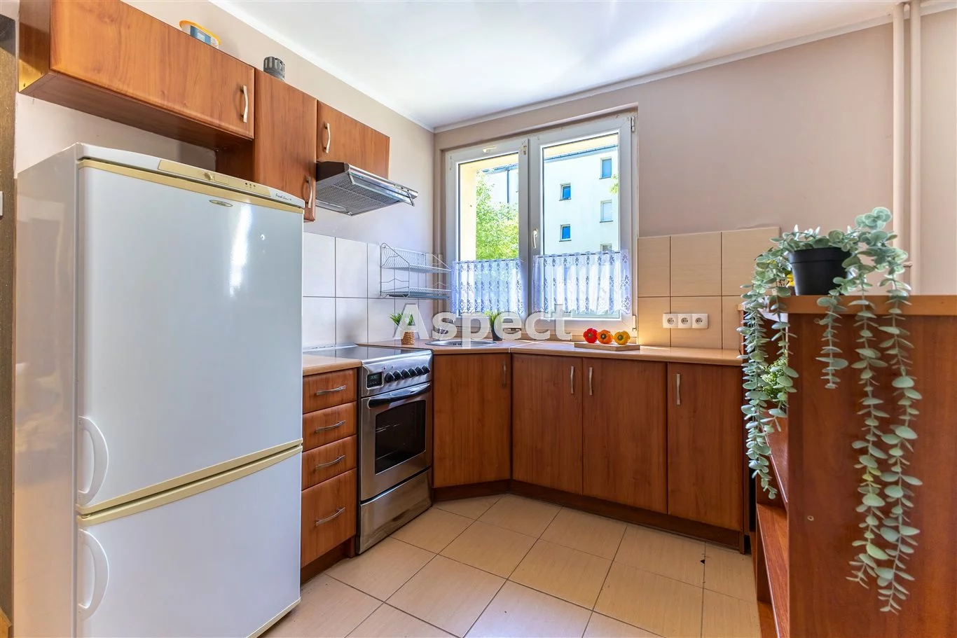 API-MS-50880 - zdjęcie nr 3