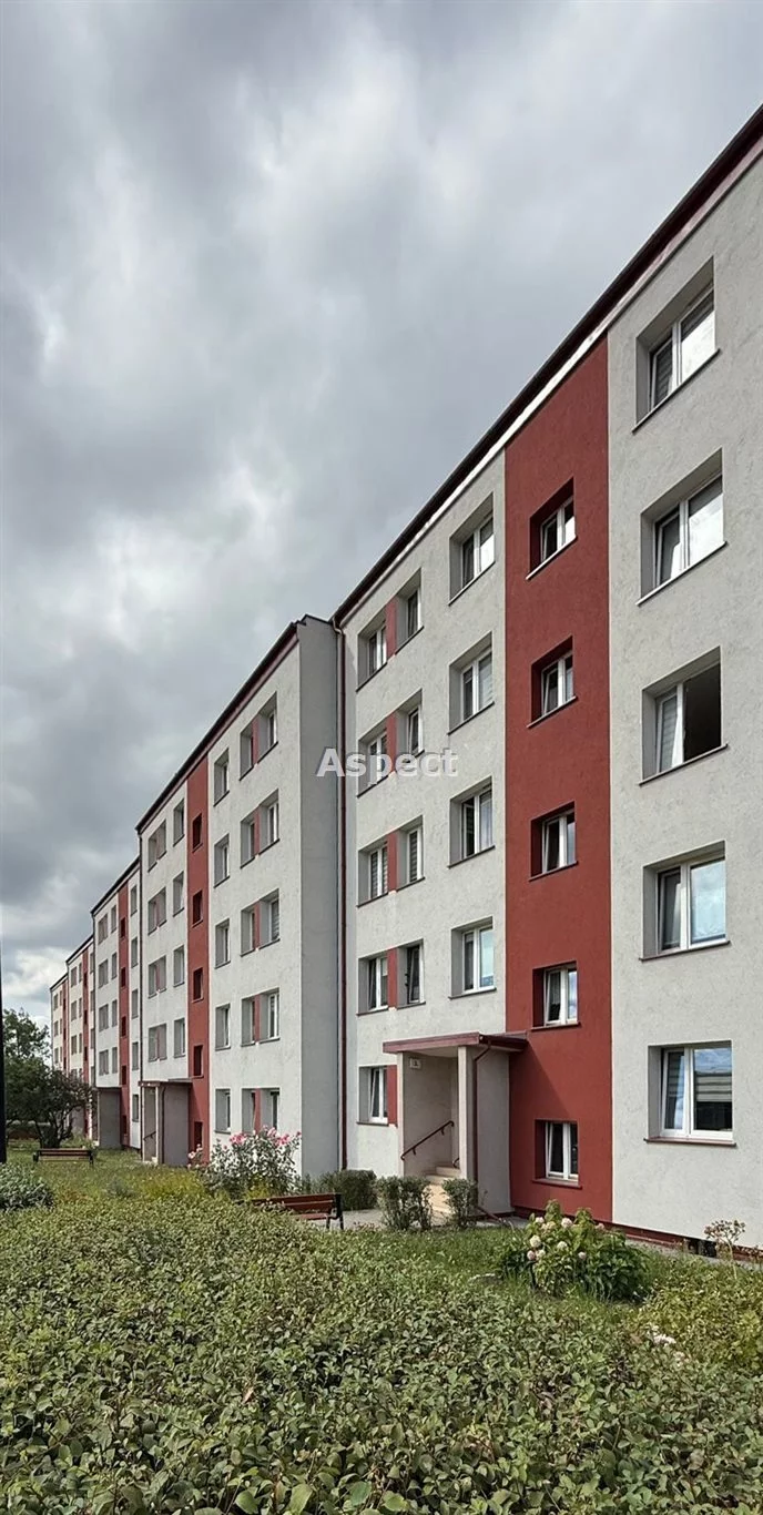 API-MS-51113 - zdjęcie nr 4