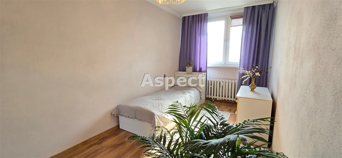 AP1-MS-50607 - zdjęcie nr 2