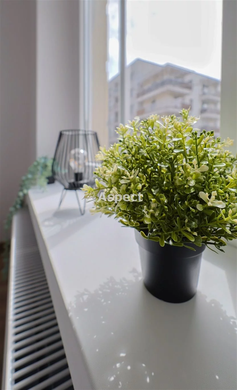 3 pokoje, mieszkanie 56,59 m², parter, oferta nr , API-MS-50605, Zabrze