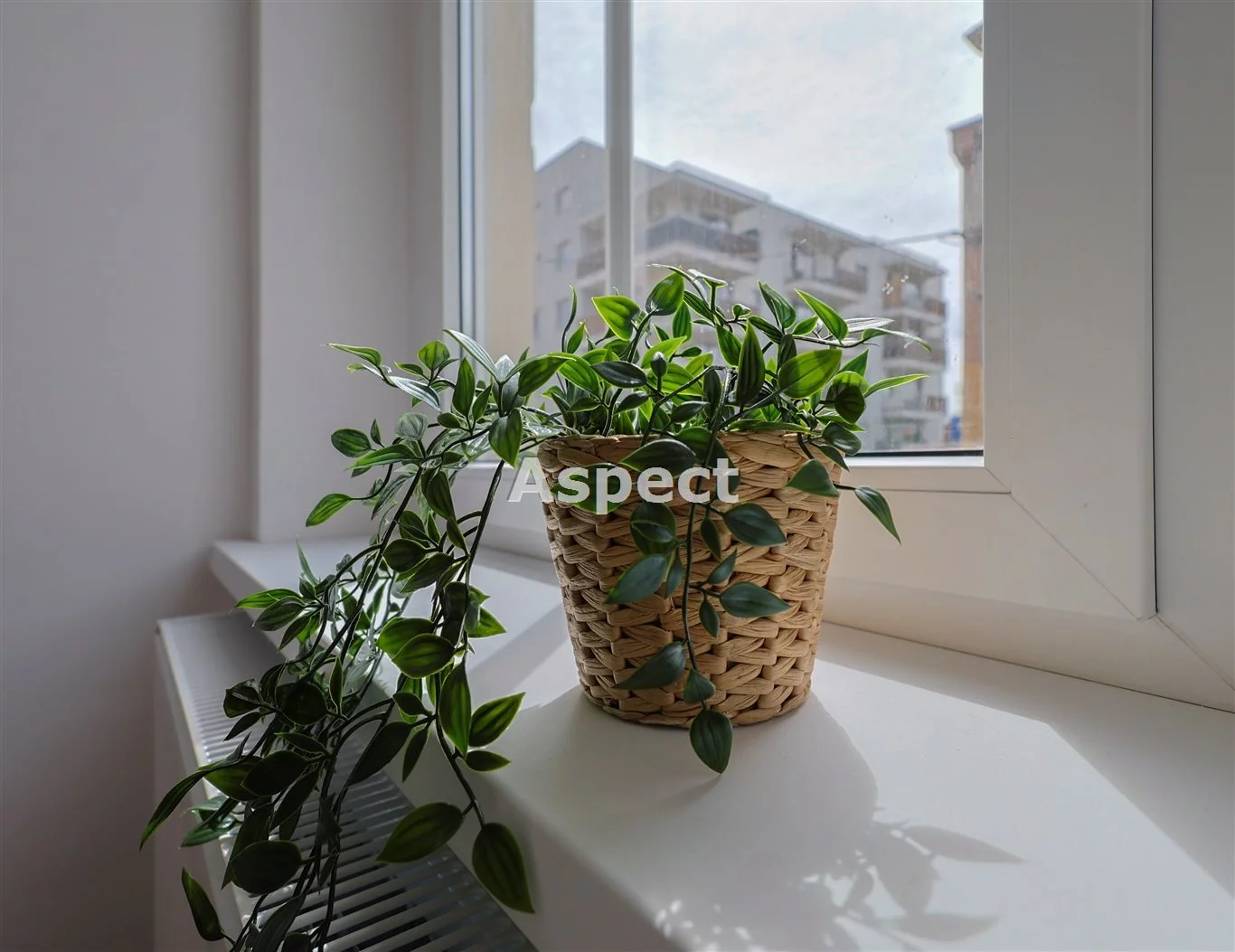 3 pokoje, mieszkanie 56,59 m², parter, oferta nr , API-MS-50605, Zabrze