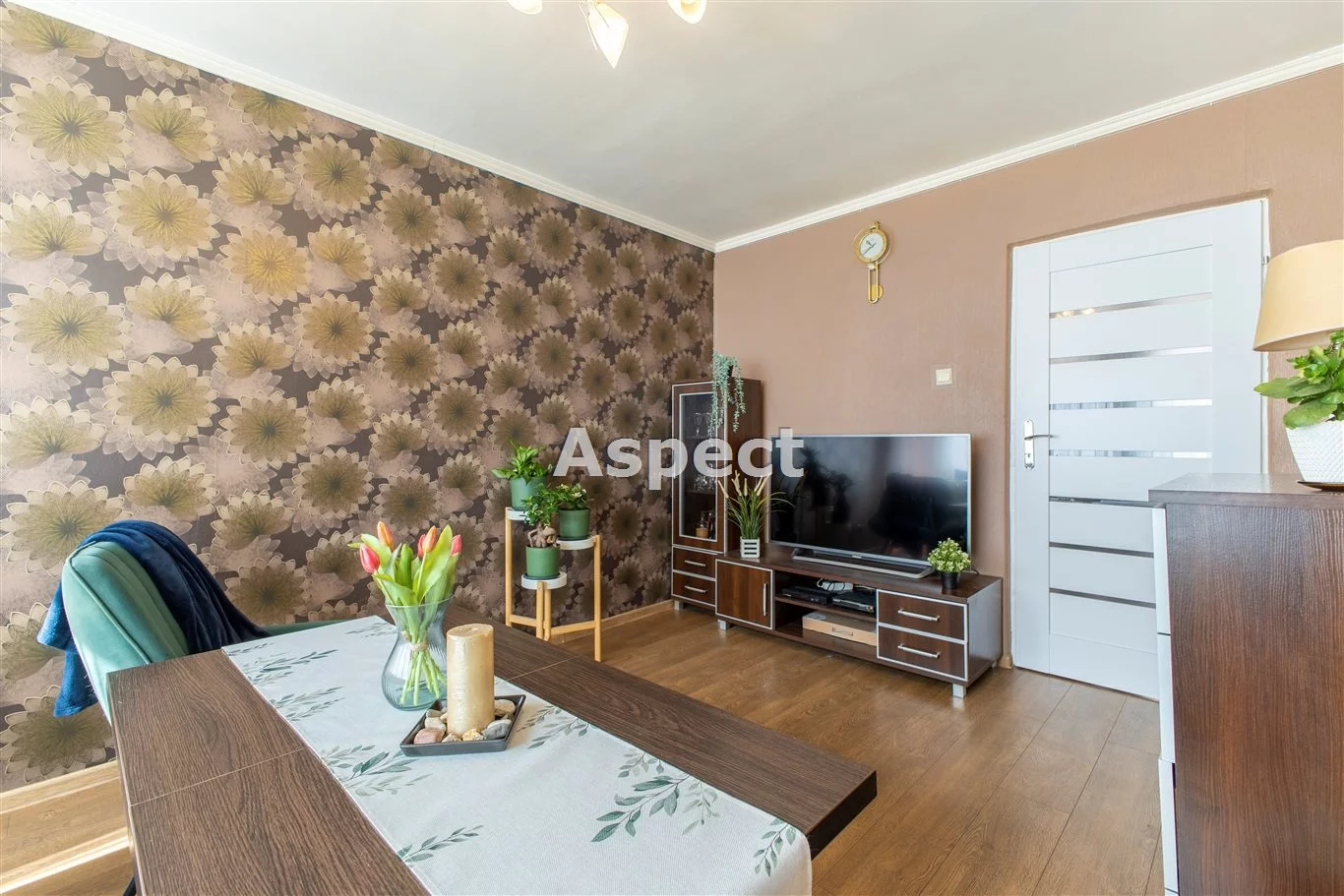 Apartamenty API-MS-51099 Zabrze