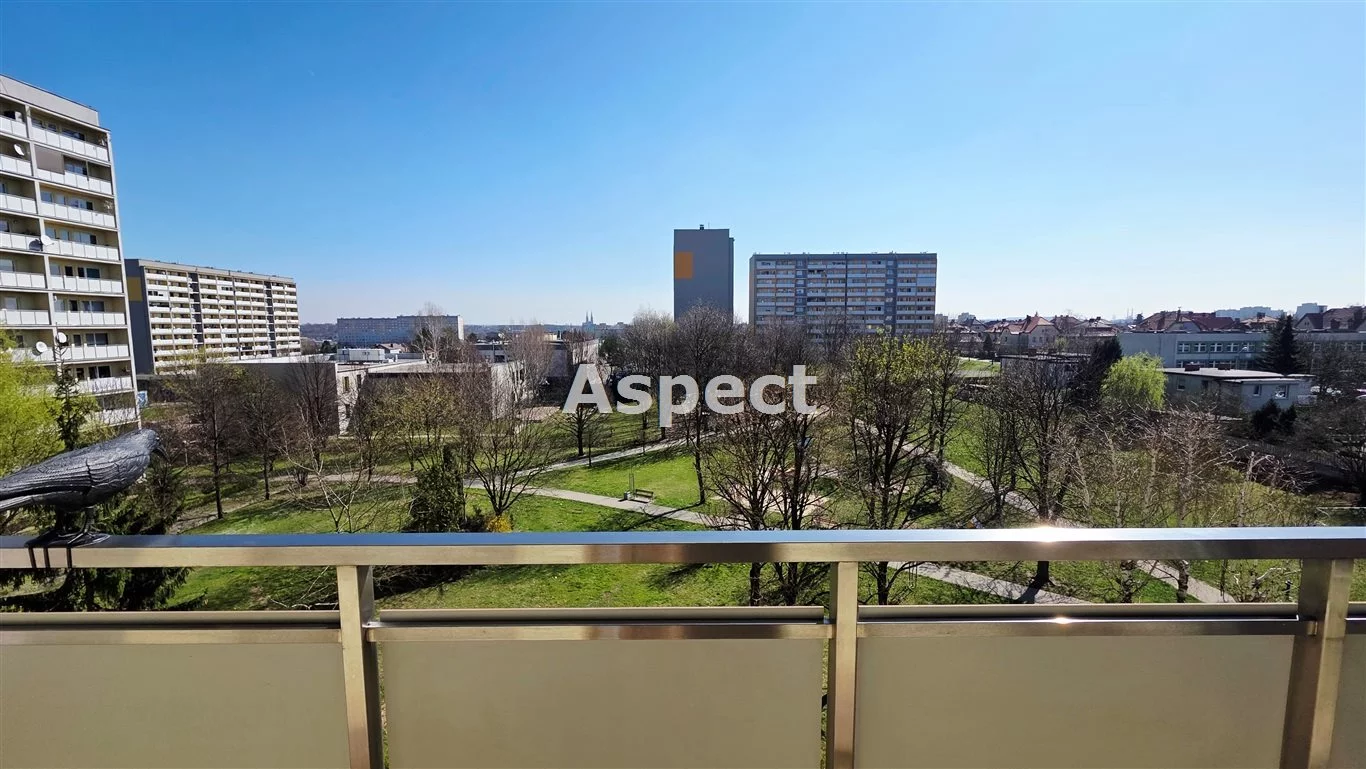 AP1-MS-50389 - zdjęcie nr 2