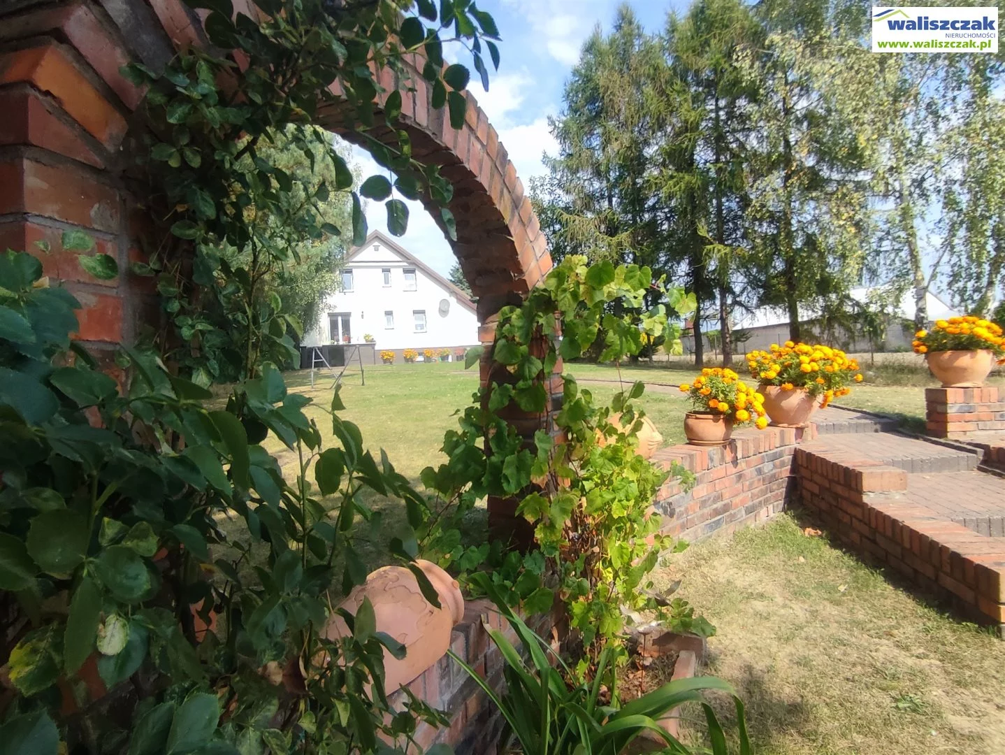 DS-14309 - zdjęcie nr 3