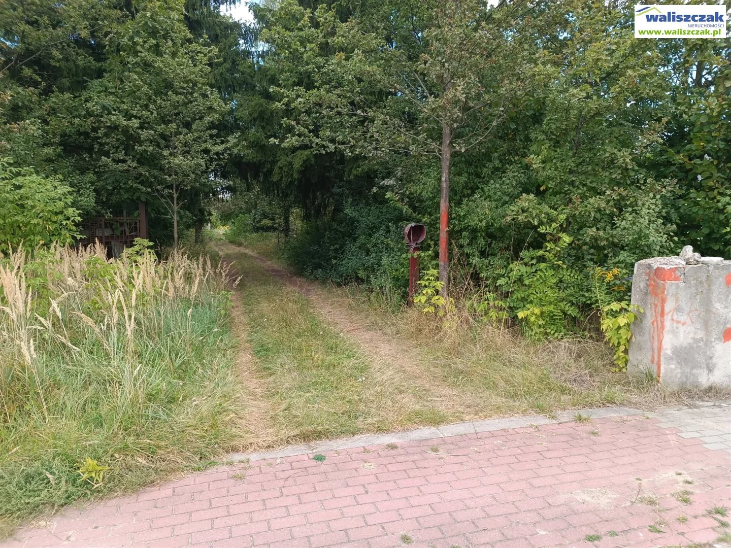 Działka 13 694,00 m², oferta nr , GS-14601, Drużbice