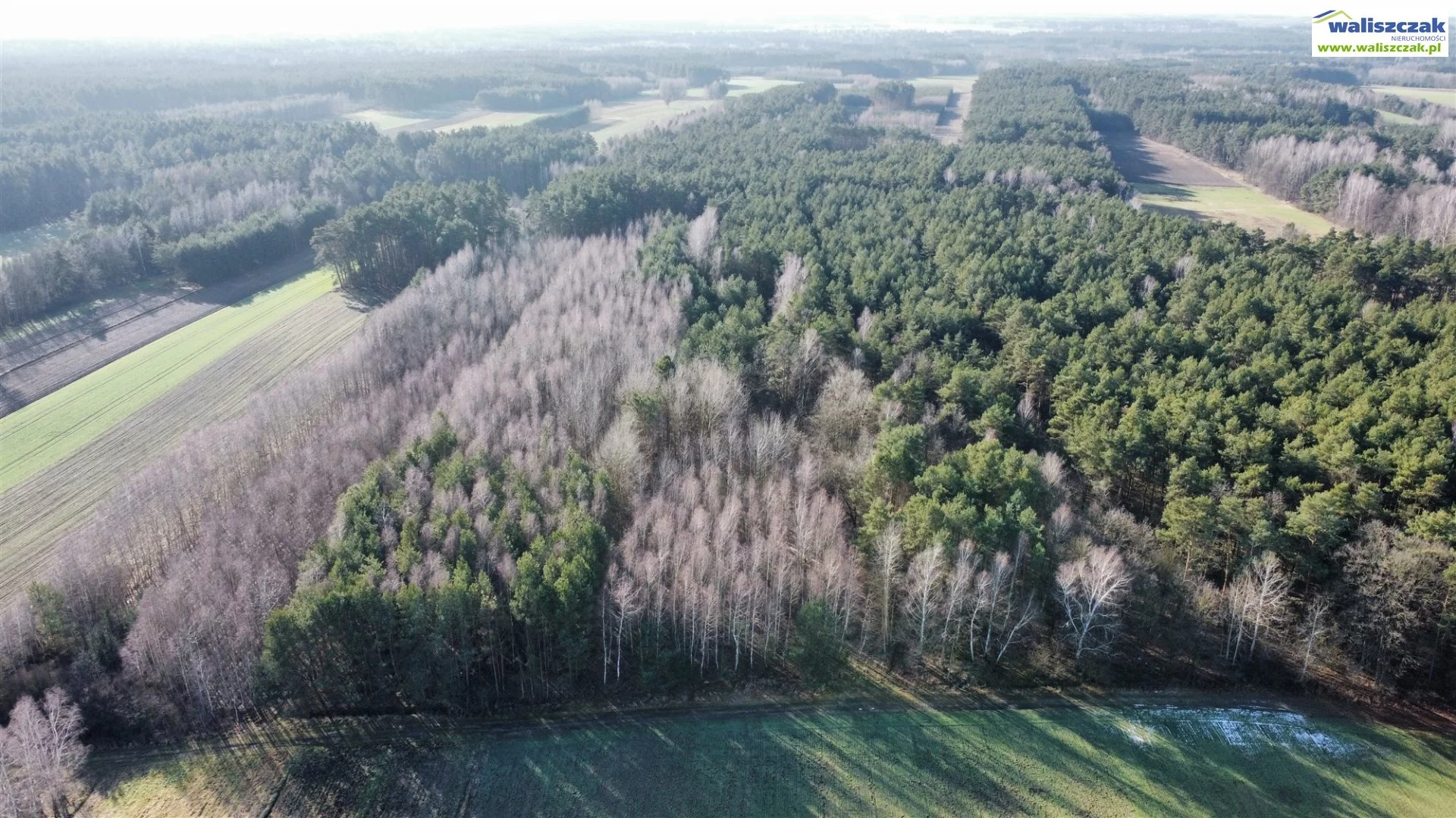 Działka 11 400,00 m², oferta nr , GS-14209, Paradyż
