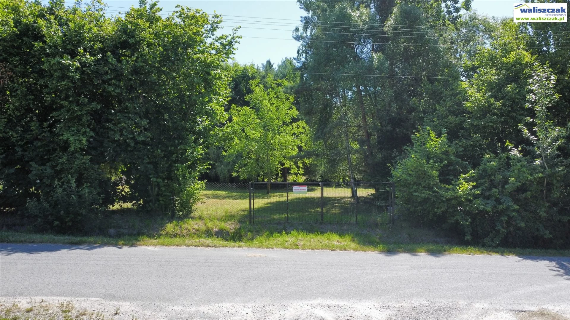 GS-14455 - zdjęcie nr 2