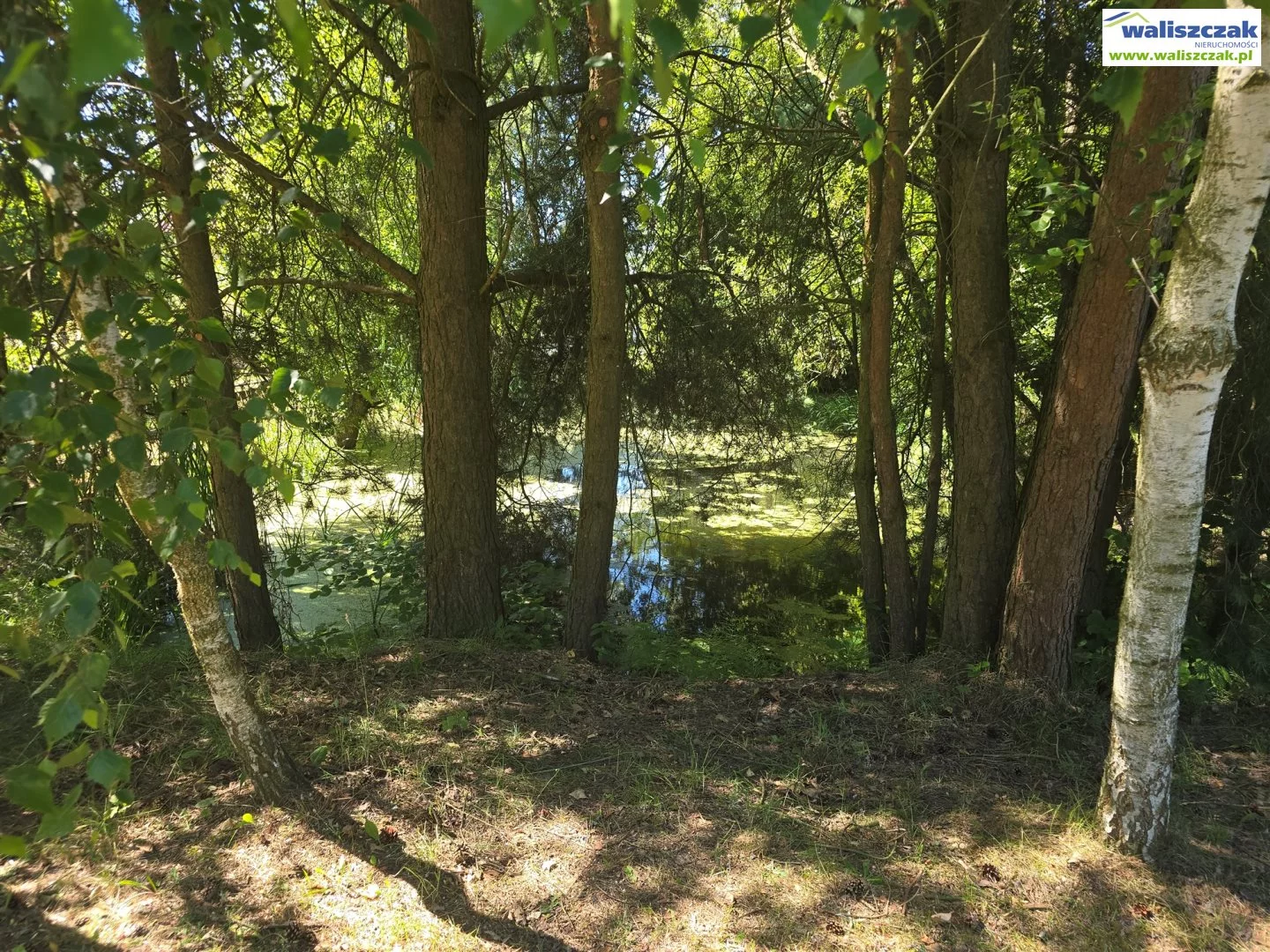 Działka 978,00 m², oferta nr , GS-14451, Ręczno