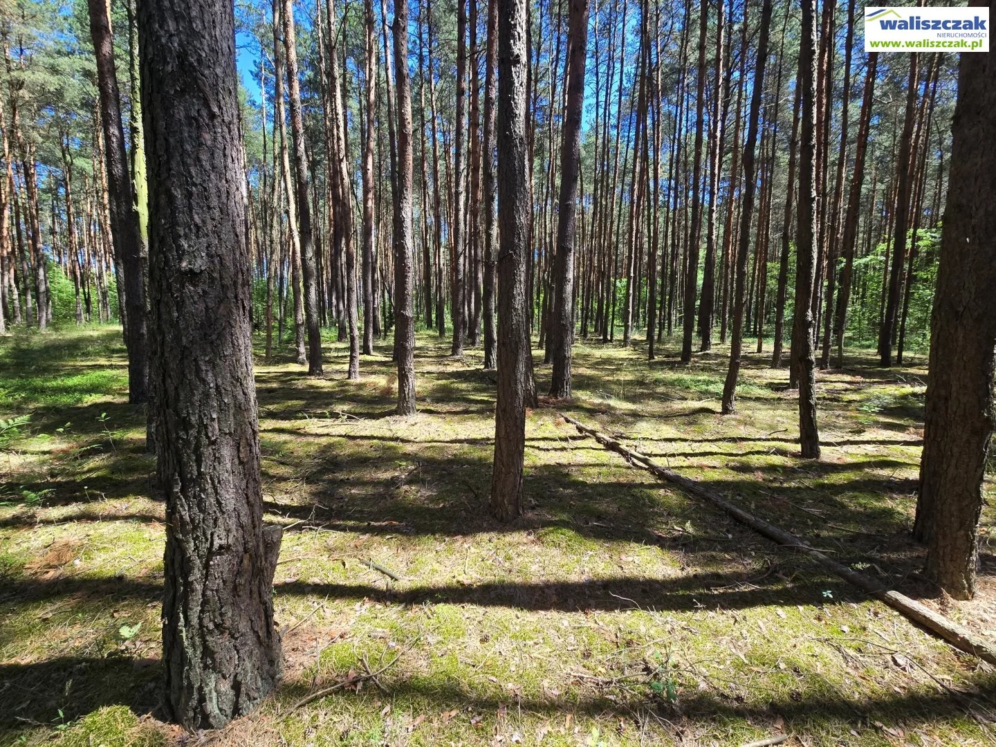 Działka 822,00 m², oferta nr , GS-14515, Rozprza