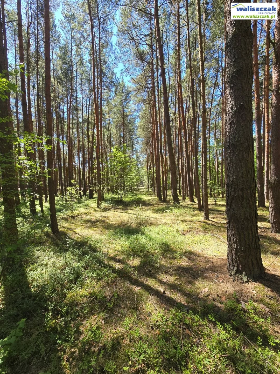 Działka 822,00 m², oferta nr , GS-14515, Rozprza