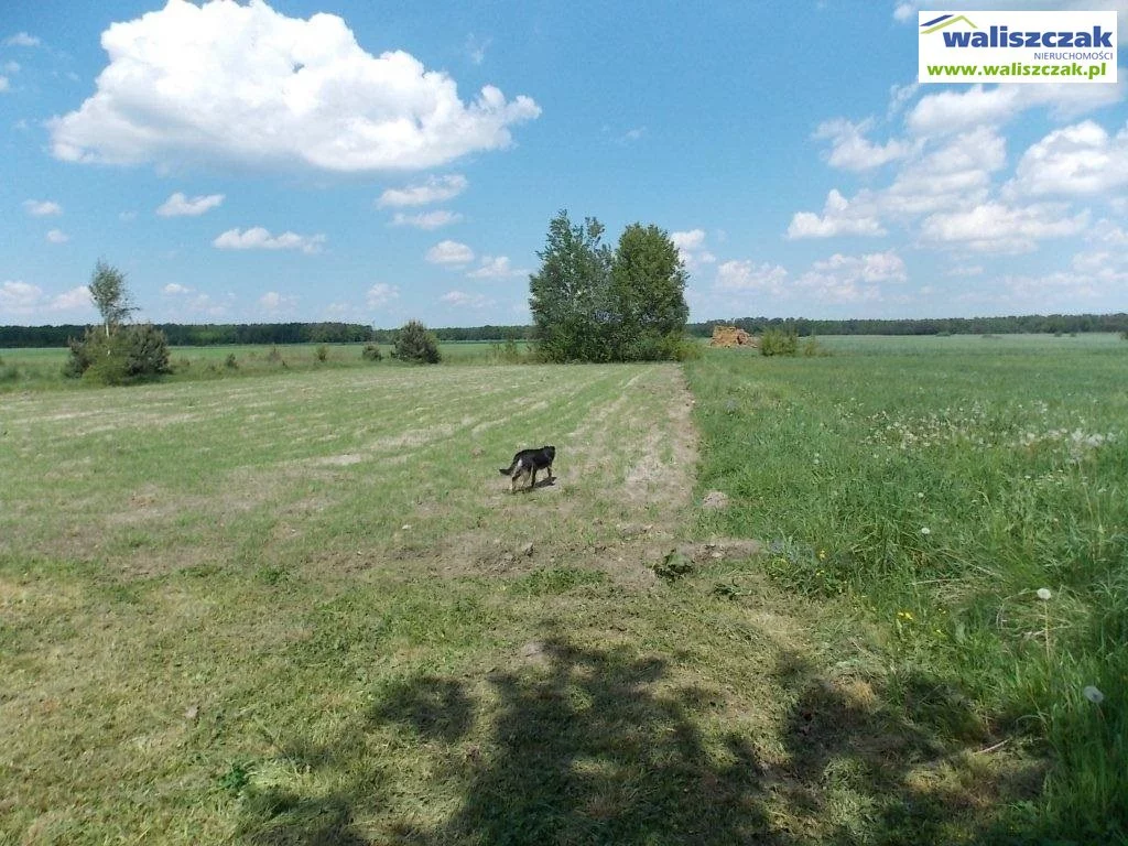 Działka 2 200,00 m², oferta nr , GS-14104, Sulejów