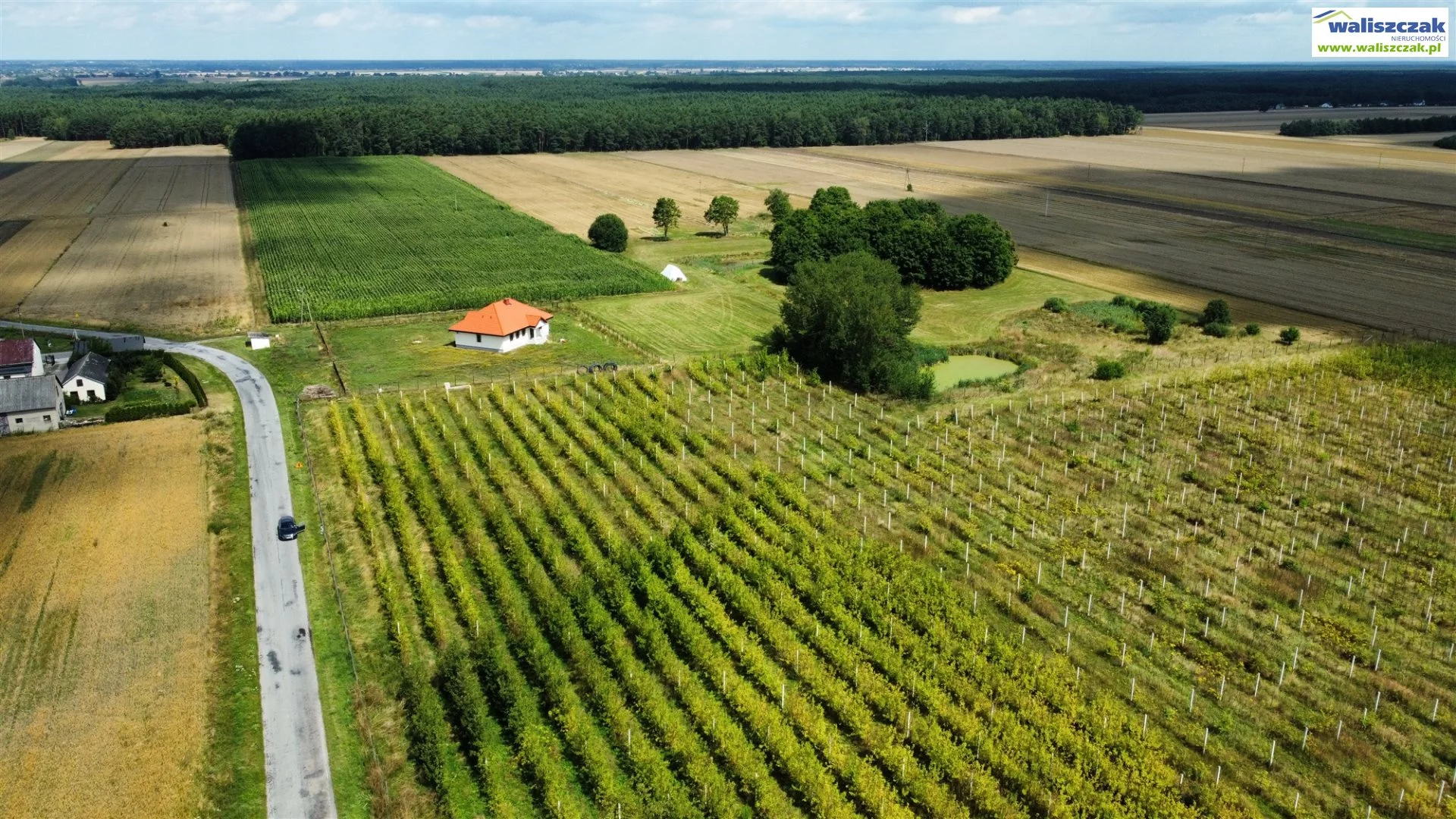 Działka 1 104,00 m², oferta nr , GS-14276-1, Sulejów