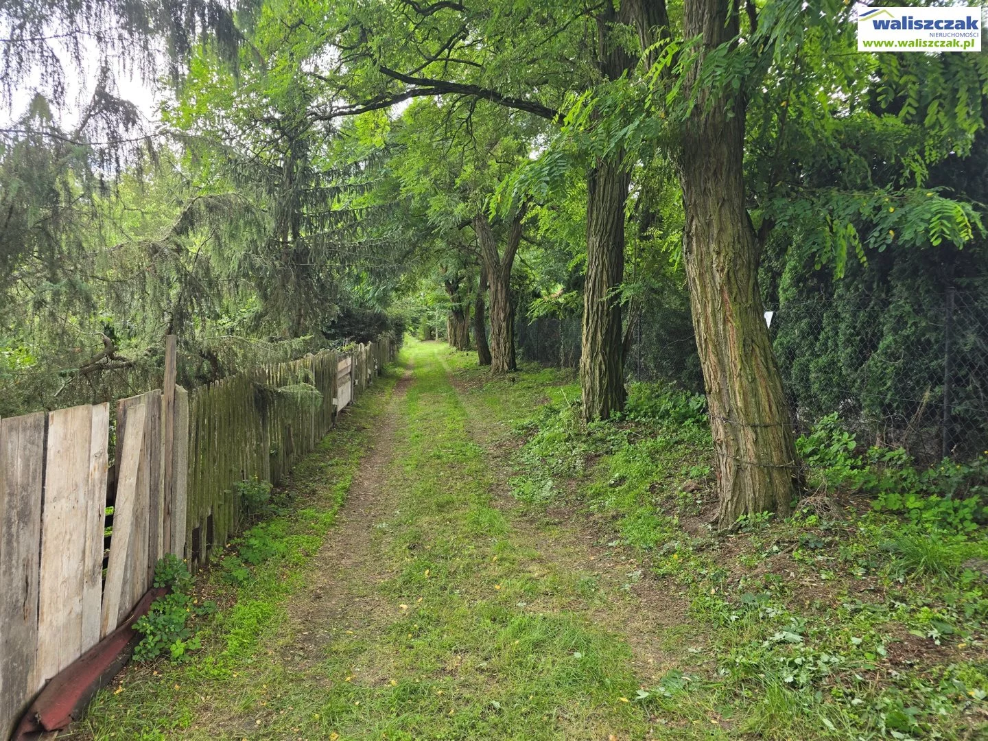 Działka 3 008,00 m², oferta nr , GS-14531, Ujazd