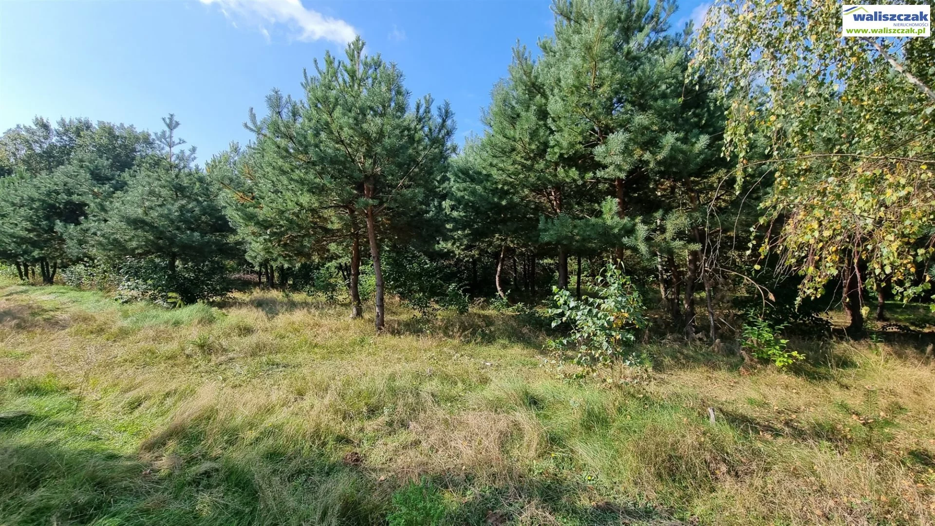 Działka 1 000,00 m², oferta nr , GS-14640-3, Wolbórz