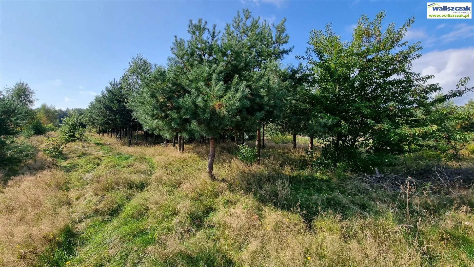 Działka 1 000,00 m², oferta nr , GS-14640-3, Wolbórz
