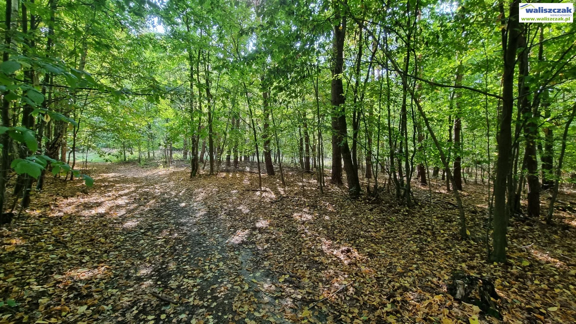 Działka 1 000,00 m², oferta nr , GS-14640-3, Wolbórz