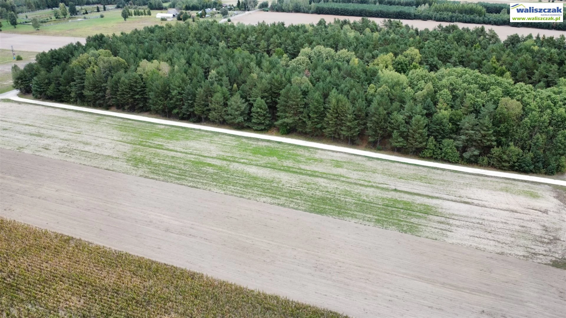 Działka 10 100,00 m², oferta nr , GS-14595, Żarnów