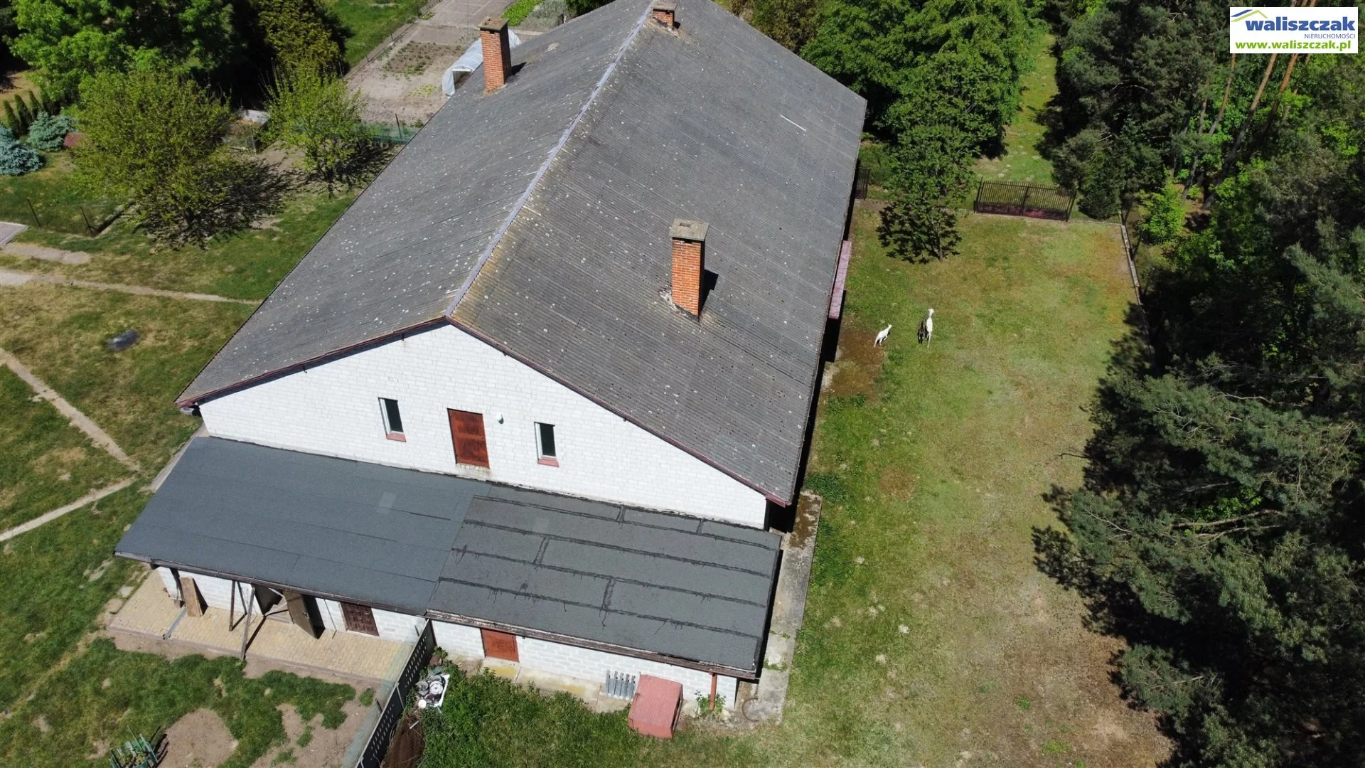 Lokal użytkowy 300,00 m², oferta nr , LS-13760, Mniszków