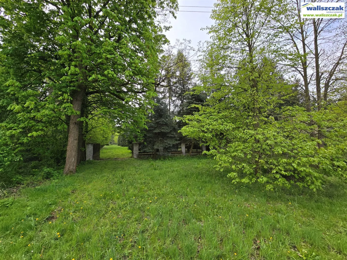 Lokal użytkowy 300,00 m², oferta nr , LS-13760, Mniszków