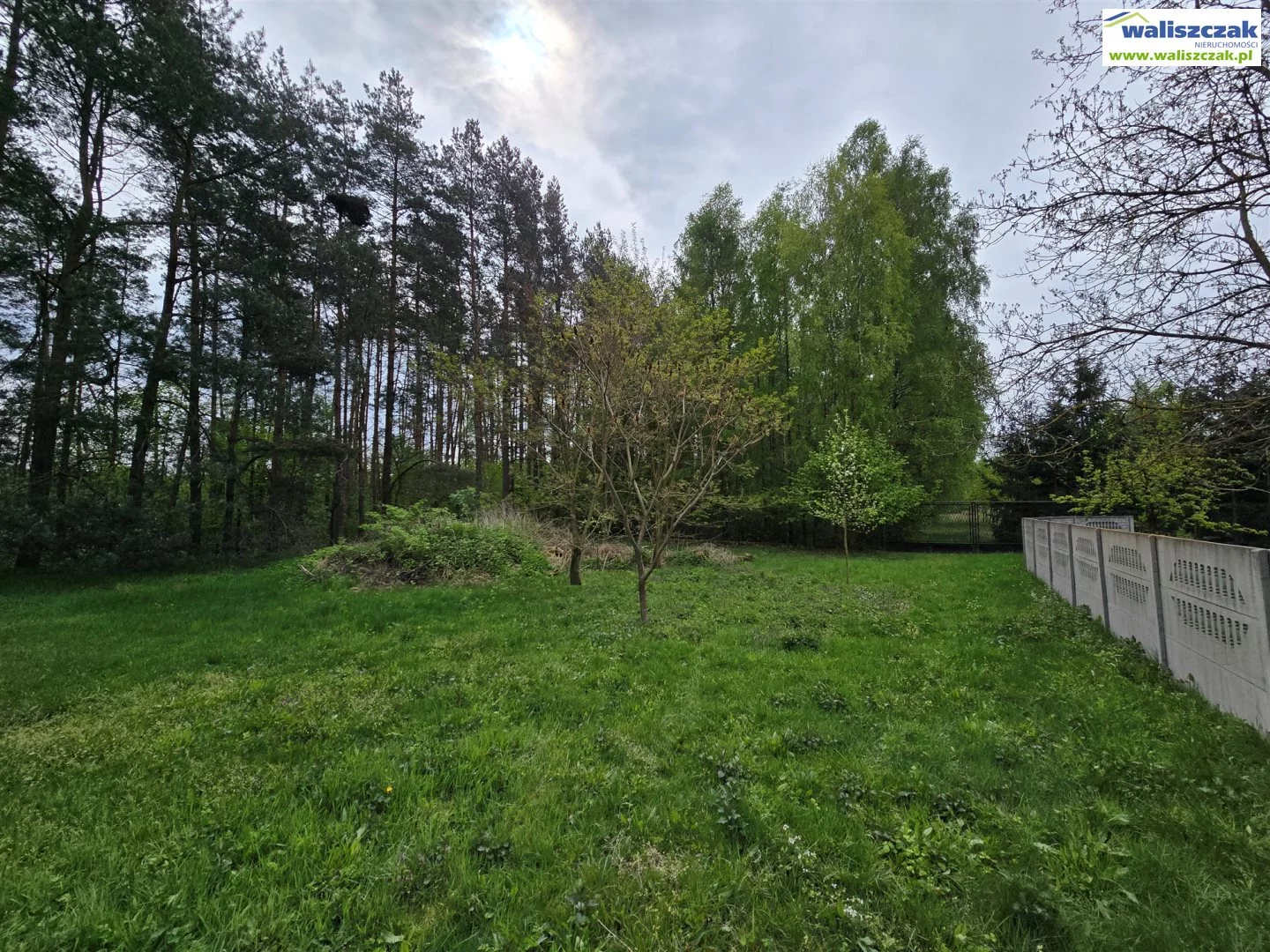 Lokal użytkowy 300,00 m², oferta nr , LS-13760, Mniszków
