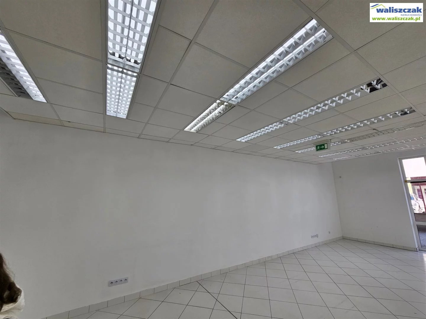 Lokal użytkowy 46,00 m², oferta nr , LW-14652-1, Piotrków Trybunalski