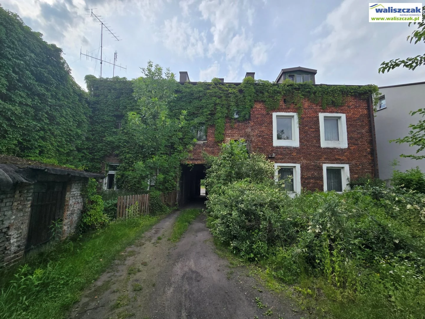 BS-14429 - zdjęcie nr 3