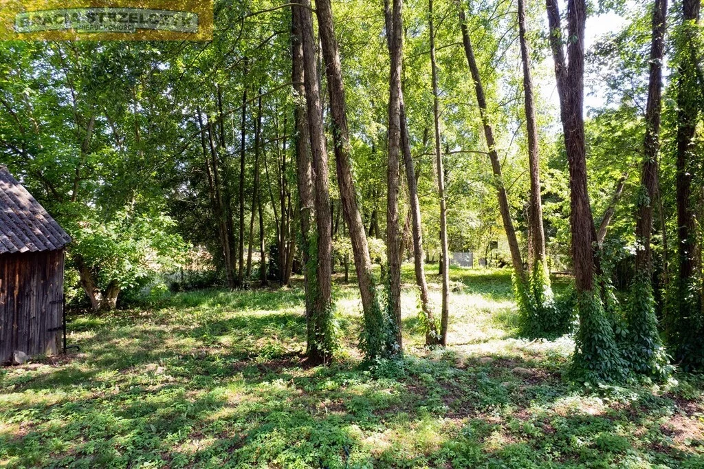 Dom 100,00 m², oferta nr , 195/9046/ODS, Nowe Załubice