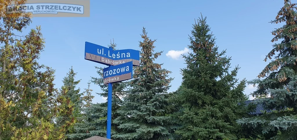 Apartamenty 283/9046/OGS Dąbrówka