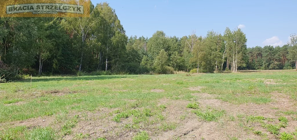 Działka 1 500,00 m², oferta nr , 283/9046/OGS, Dąbrówka