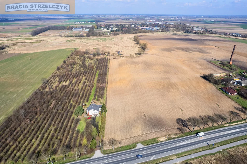 Działka 20 000,00 m², oferta nr , 203/9046/OGS, Kopytów