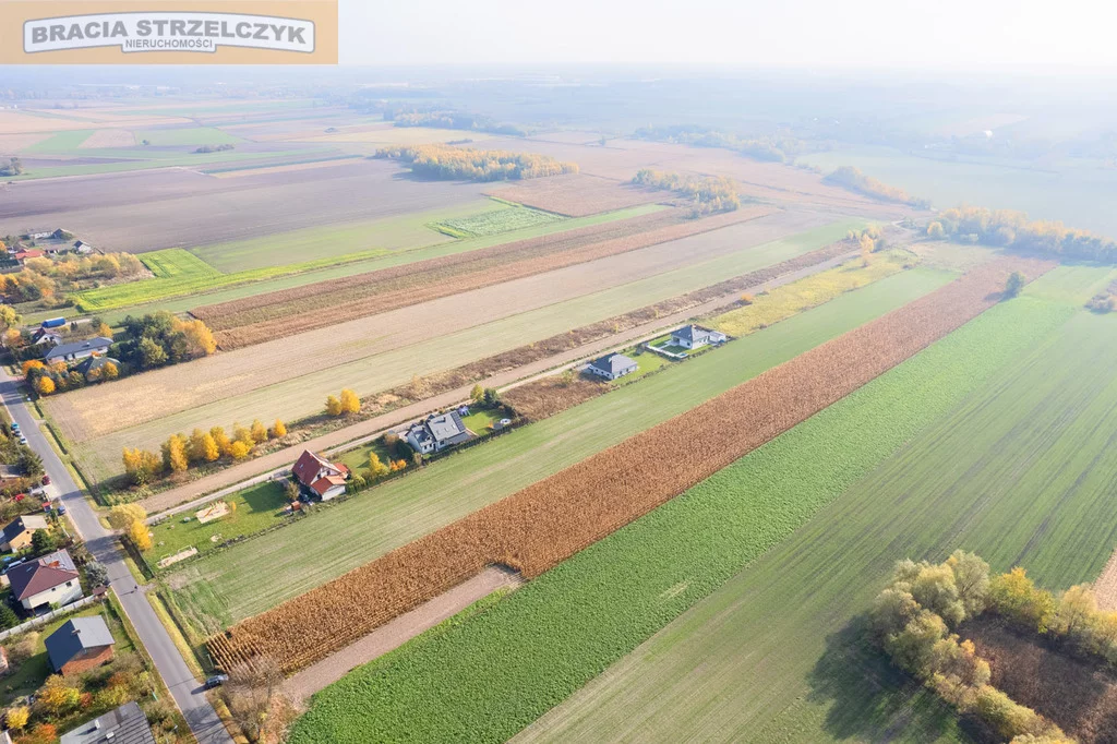 Działka 16 700,00 m², oferta nr , 238/9046/OGS, Nowe Faszczyce