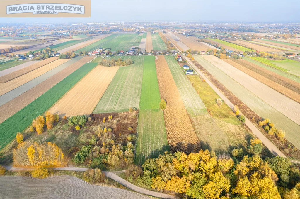 Działka 16 700,00 m², oferta nr , 238/9046/OGS, Nowe Faszczyce