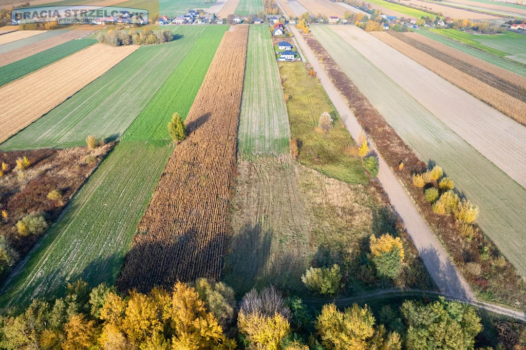 Działka 16 700,00 m², oferta nr , 238/9046/OGS, Nowe Faszczyce
