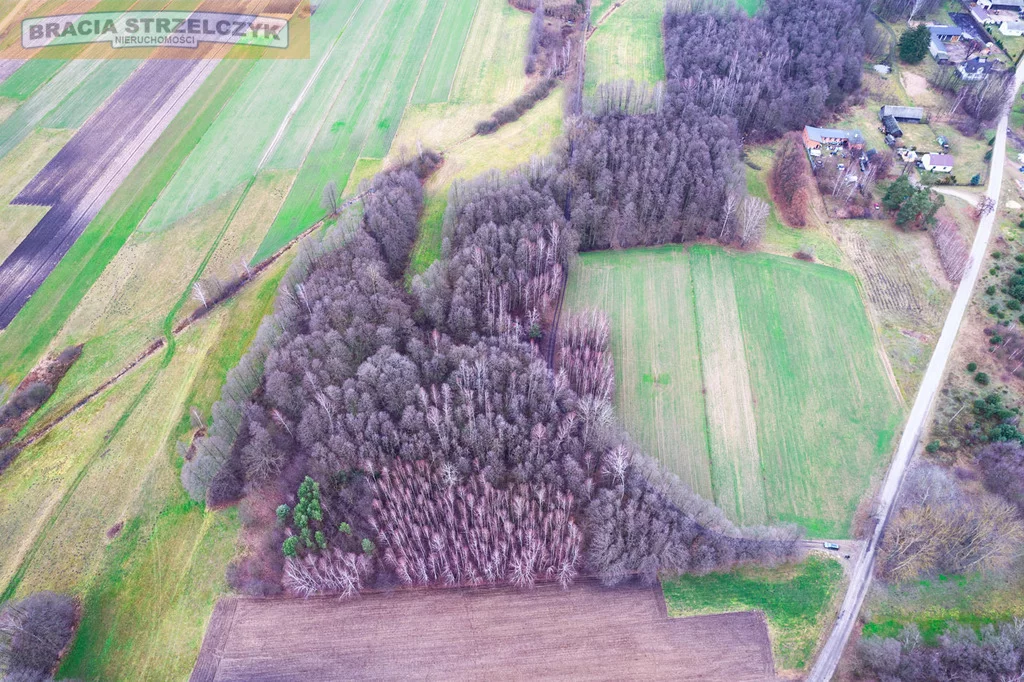Działka 16 900,00 m², oferta nr , 279/9046/OGS, Stare Zambski