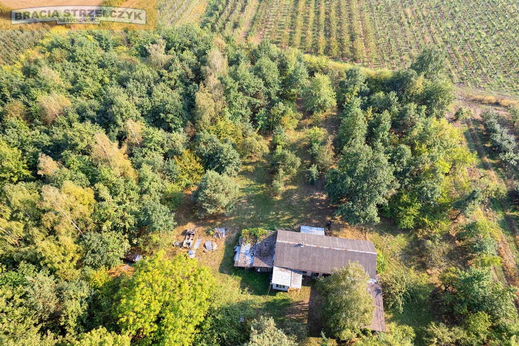 Działka 14 800,00 m², oferta nr , 231/9046/OGS, Tomaszówka