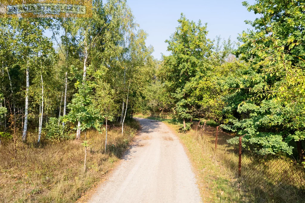 Działka 14 800,00 m², oferta nr , 231/9046/OGS, Tomaszówka