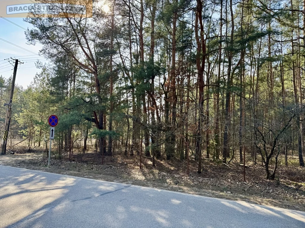 247/9046/OGS - zdjęcie nr 4