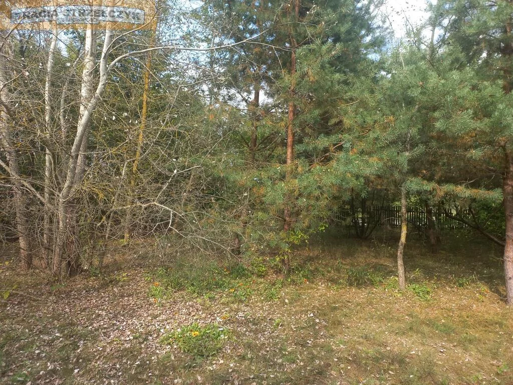 Działka 2 500,00 m², oferta nr , 277/9046/OGS, Zambski Kościelne