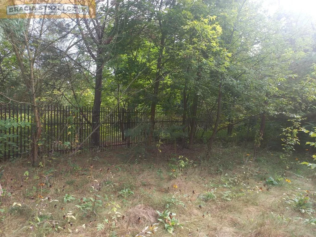Działka 2 500,00 m², oferta nr , 277/9046/OGS, Zambski Kościelne