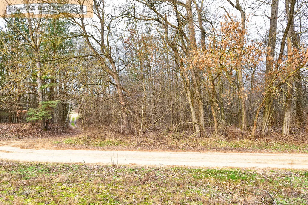 Działka 27 100,00 m², oferta nr , 278/9046/OGS, Zambski Kościelne