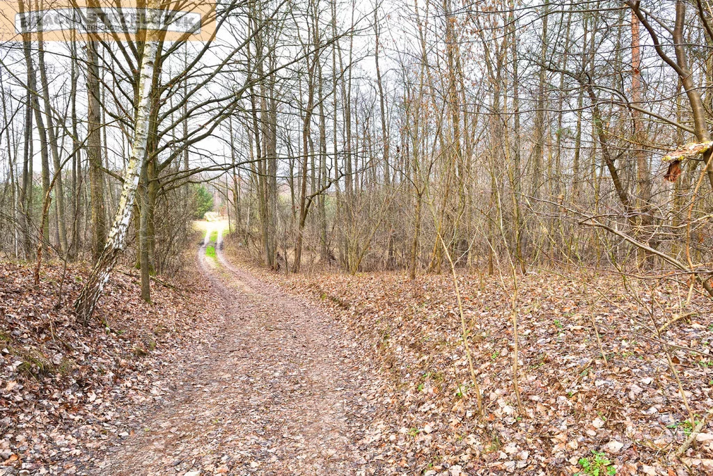 Działka 27 100,00 m², oferta nr , 278/9046/OGS, Zambski Kościelne